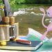 PoGO – Pokémon GO: How to catch Mew! Guide with all quest sections
