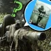 #MW the #ModernWarfare stories together