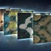 Preview of the cards of the second season 2020