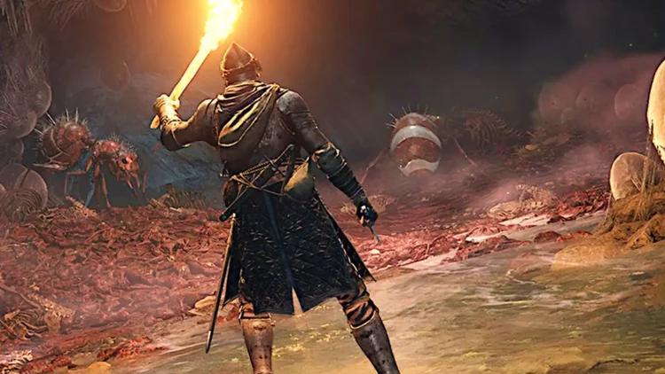 Player discovers strange secret passage in Elden Ring after punching a wall 50 times