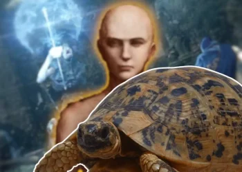 Player lives in #EldenRing as a turtle because the #game became too hard for him