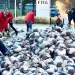 FIFA protests at dawn 6500 sandballs against bloody games in Qatar
