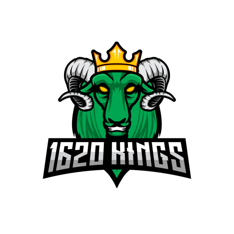 Counter Strike CSGO - Team 1620 Kings
