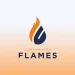 Counter Strike CS:GO - Team Copenhagen Flames