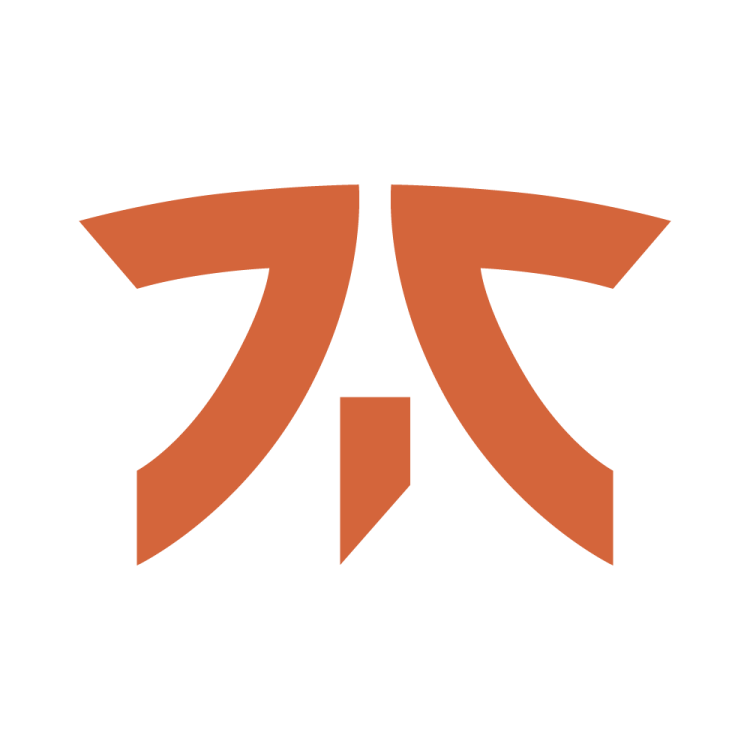 Counter Strike CS:GO - Team fnatic