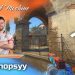 Counter Strike CSGO - sinnopsyy - Dionis Budeci