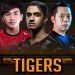 Dota-2-Teams-Tigers