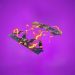 Fortnite Items - Zapper Trap