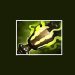 Items Dota 2-Ghost Scepter