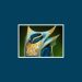 Items Dota 2-Robe of the Magi