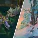 League of Legends Champions Guides- Maps