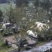 Maps Call of Duty - Creek