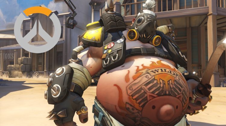 Overwatch Heroes – Roadhog