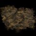 Starcraft Missions - Infested