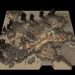 Starcraft-Missions-Rendezvous