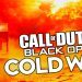 Black Ops Cold War: FAST Armor Equip, Monday Free Rewards , & More! 5 Tips/Info You NEED To Know#2