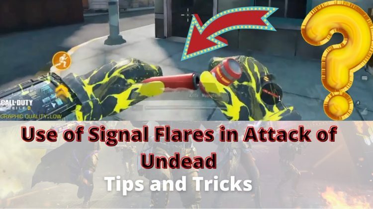 Use of signal flares in Attack of Undead mode