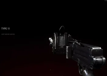 CoD Vanguard Setup Guides - Type 11