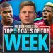 FIFA 19 Pro Clubs | Top 5 Goals of the Week (#3)