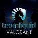 Team Liquid Valorant Roster with ScreaM and fish123