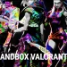 Valorant Pro Team Andbox announces final squad
