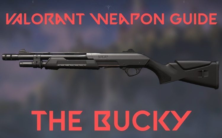 Patch Notes – Valorant Weapon Guide: Bucky