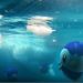 PoGO – Pokémon GO: The 12 new Gen 4 evolutions you absolutely want to have