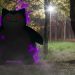 PoGO – Pokémon GO: The benefits of Purified Pokémon