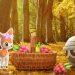 PoGO – Pokémon Go: Change of Seasons - Guide to Research and Sesokitz!