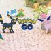 PoGO – Pokémon Go: Johto Celebration Event with Limited Research - Info in Guide