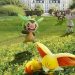 PoGO – Pokémon Go: The Kalos Celebration Event - Temporary Research Guide