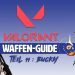 Valorant Weapons Guide - Part 11 Bucky