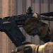 Warzone Setup Guide Fennek & CR-56 AMAX