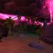 WoW: Black Morass Guide