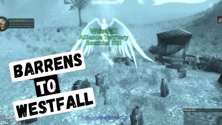 WoW Classic - The mega gallery from the good old days - Barrens & Westfall!