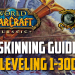 WoW Guide Skinning - All tips for the job