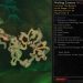 WoW Guide Wailing Caverns
