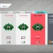 What are FIFA Points?
