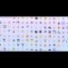All 151 Gen 1 Kanto Pokemon in Pokemon GO