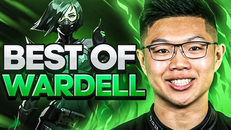Best of TSM Wardell Valorant Montage 2022