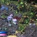 BoRdAn vs PengWin - WCS EU Qualifier #3 (Ro256)