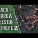 Burrow Roach, Infestor l StarCraft 2: Legacy of the Void Ladder l Crank