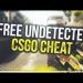 CSGO PRO FREE 2019 GUN SKINS AND KARAM BIT! KNIFES FREE 2019 PRO HACKS