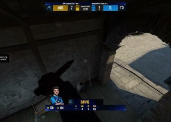 CSGO crowd loves chickens