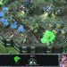 Cutthroat Brutal Walkthrough - Starcraft 2: Wings of Liberty