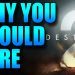 Destiny 2 - Why You Should Care