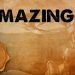 EDG Amazing | Darius vs Fizz (Top Lane) | LoL Pro Replay | League of Legends Gamemplay