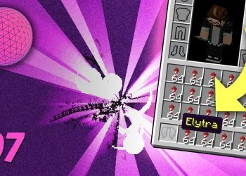 END CITIES, SHULKERS, and ELYTRA! Beating Minecraft - TeeGeeSMP [07]