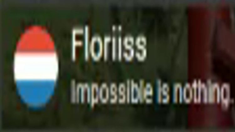 Floriiss | PSN User Trophy Review