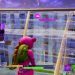 HOW TO WIN MORE SOLO GAMES IN FORTNITE BATTLE ROYALE!  FORTNITE TIPS  TRICKS EP  6